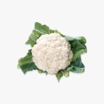 All Natural Italian-Style Chicken Meatballs